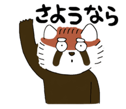 maji lesser panda sticker #14372378