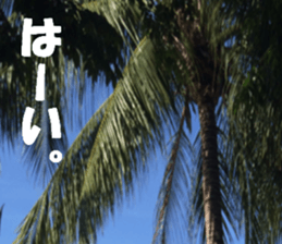 CebuIsland's sticker sticker #14372827