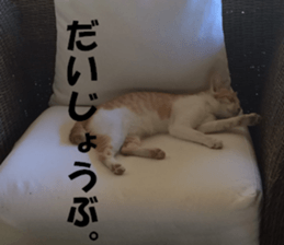 CebuIsland's sticker sticker #14372828