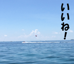 CebuIsland's sticker sticker #14372832