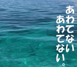 CebuIsland's sticker sticker #14372833