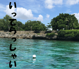 CebuIsland's sticker sticker #14372834