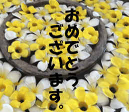 CebuIsland's sticker sticker #14372843