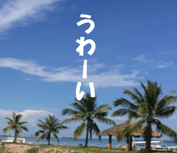 CebuIsland's sticker sticker #14372844