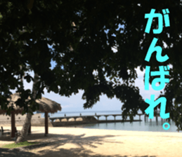 CebuIsland's sticker sticker #14372849