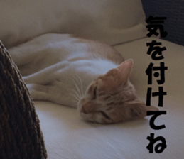 CebuIsland's sticker sticker #14372850