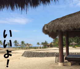 CebuIsland's sticker sticker #14372858