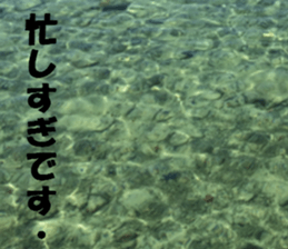 CebuIsland's sticker sticker #14372861