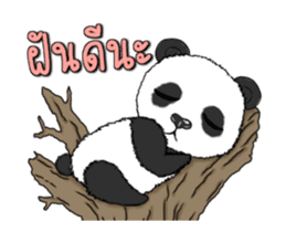 Cute Panda panda sticker #14373660