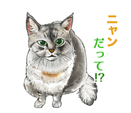 the fluffy cats 2 sticker #14374392