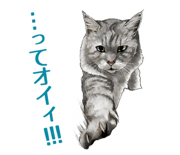 the fluffy cats 2 sticker #14374394