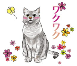 the fluffy cats 2 sticker #14374395