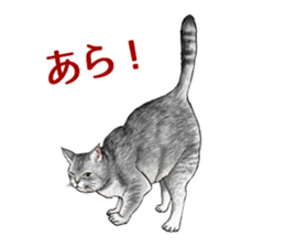 the fluffy cats 2 sticker #14374404