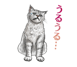 the fluffy cats 2 sticker #14374405
