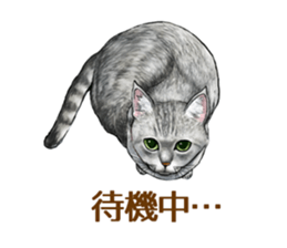 the fluffy cats 2 sticker #14374406