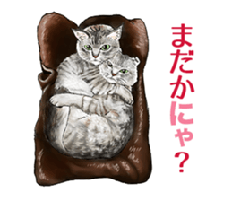 the fluffy cats 2 sticker #14374407