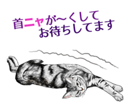 the fluffy cats 2 sticker #14374408