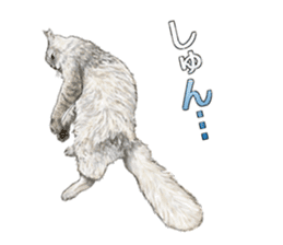 the fluffy cats 2 sticker #14374409