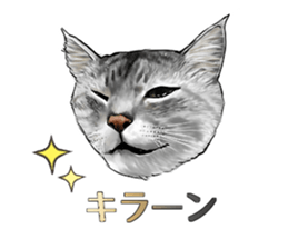 the fluffy cats 2 sticker #14374410