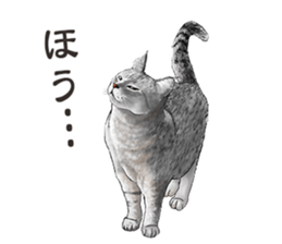 the fluffy cats 2 sticker #14374411