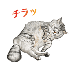 the fluffy cats 2 sticker #14374413