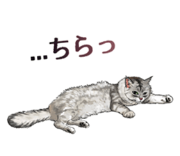 the fluffy cats 2 sticker #14374414