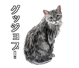 the fluffy cats 2 sticker #14374415