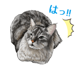 the fluffy cats 2 sticker #14374416