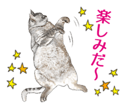 the fluffy cats 2 sticker #14374417
