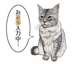 the fluffy cats 2 sticker #14374418