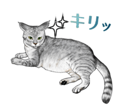 the fluffy cats 2 sticker #14374420