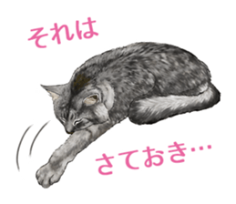 the fluffy cats 2 sticker #14374421