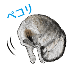 the fluffy cats 2 sticker #14374423