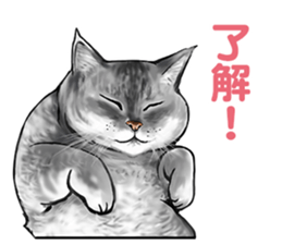 the fluffy cats 2 sticker #14374424