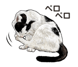 the fluffy cats 2 sticker #14374425