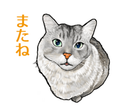 the fluffy cats 2 sticker #14374427
