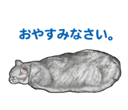 the fluffy cats 2 sticker #14374428