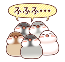Java sparrow animated sticker #14374568