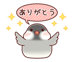 Java sparrow animated sticker #14374571