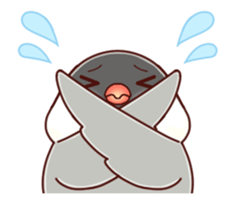Java sparrow animated sticker #14374573