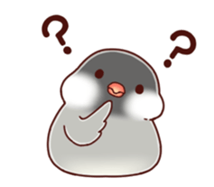 Java sparrow animated sticker #14374574