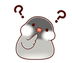 Java sparrow animated sticker #14374574