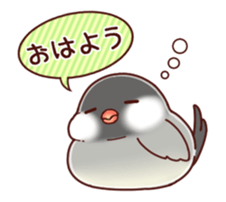 Java sparrow animated sticker #14374576