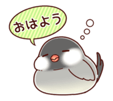 Java sparrow animated sticker #14374576