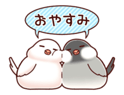 Java sparrow animated by misya sticker #14374577