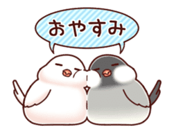 Java sparrow animated sticker #14374577