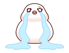 Java sparrow animated sticker #14374580