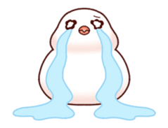 Java sparrow animated sticker #14374580