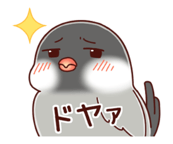 Java sparrow animated sticker #14374581