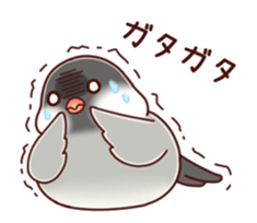 Java sparrow animated sticker #14374582